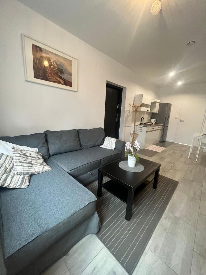 Apartament Wrzosowa Bad Kudowa Exterior foto